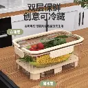 Mini Portable Refrigerator